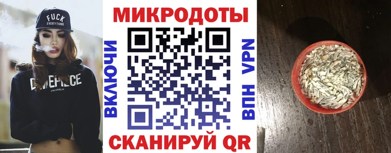 гидра как войти  Карачев  Галлюциногенные грибы Cubensis 
