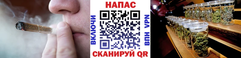 Шишки марихуана конопля  купить наркоту  Карачев 